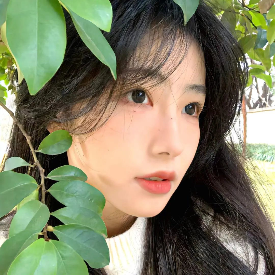 炙爱